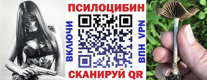ссылка на мегу зеркало  Северодвинск  Псилоцибиновые грибы прущие грибы  закладки 