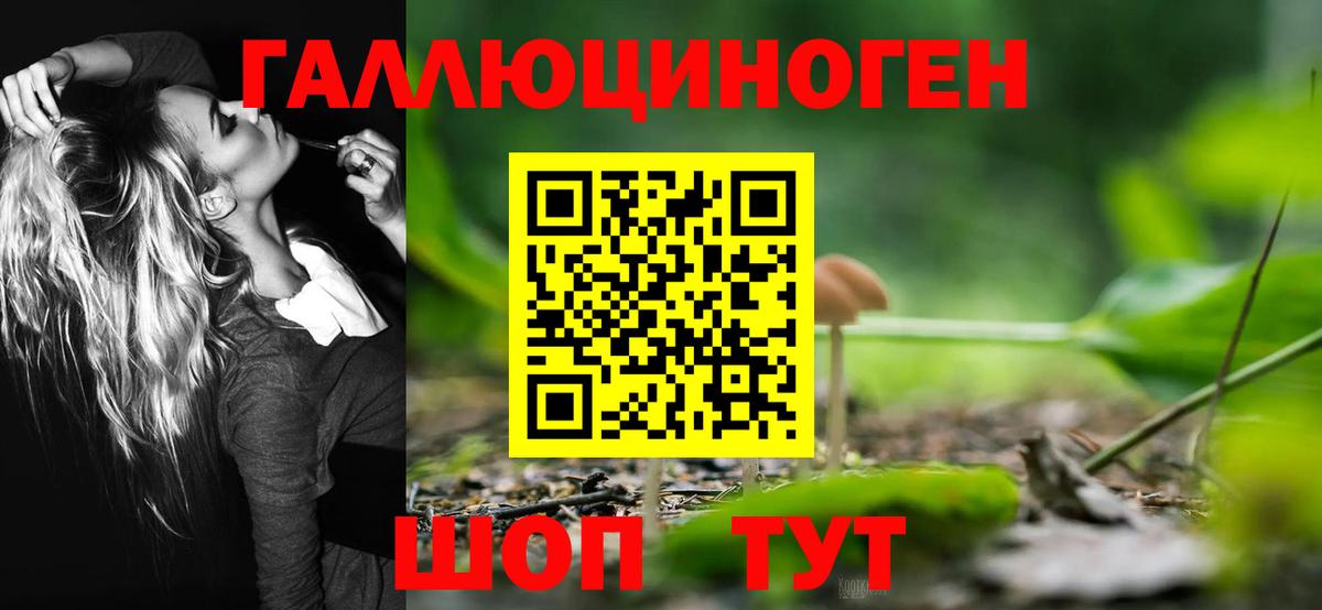 Псилоцибиновые грибы Magic Shrooms Северодвинск
