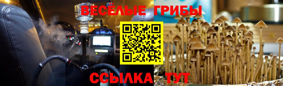 Галлюциногенные грибы мухоморы  Псилоцибиновые грибы прущие грибы  где найти   Северодвинск  Вход с VPN 